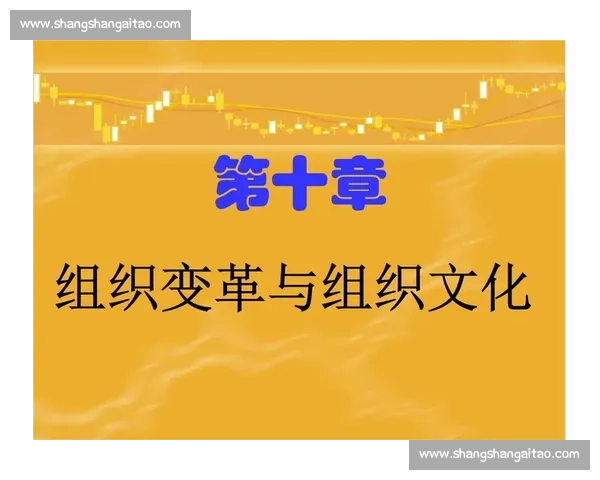 新时代背景下体育管理环境变革与可持续发展策略研究