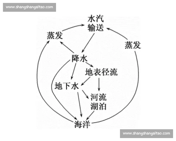 比赛中的断头现象与战术变化的深刻影响分析 比赛中的断头现象与战术变化的深刻影响分析